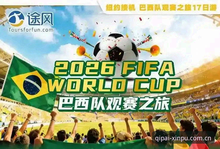 世界杯观赛受阻？棋牌娱乐平台带你全面了解签证困境